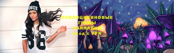 амф Алексин