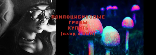 ГАЛЛЮЦИНОГЕННЫЕ ГРИБЫ Алзамай