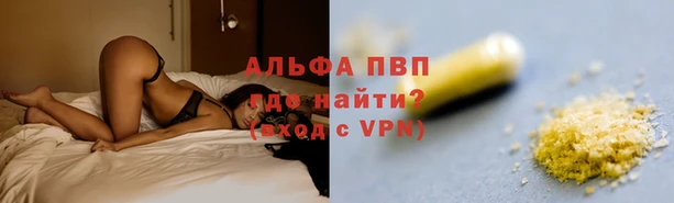 ГАЛЛЮЦИНОГЕННЫЕ ГРИБЫ Алзамай