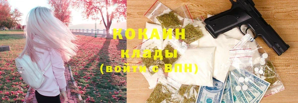 ГАЛЛЮЦИНОГЕННЫЕ ГРИБЫ Алзамай