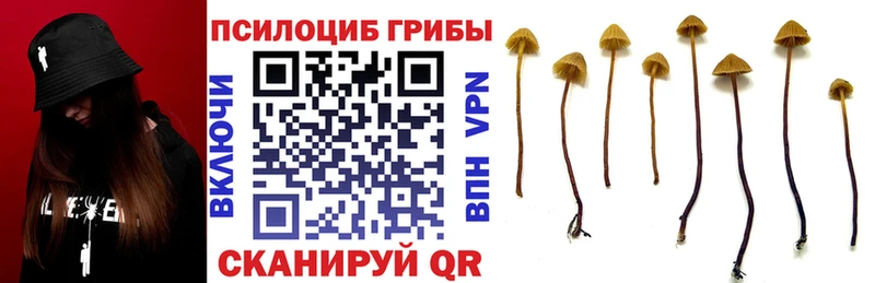 магазин  наркотиков  Дно  Галлюциногенные грибы MAGIC MUSHROOMS 